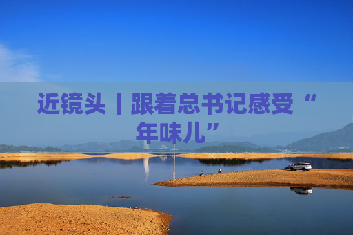 近镜头丨跟着总书记感受“年味儿”