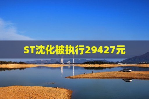 ST沈化被执行29427元