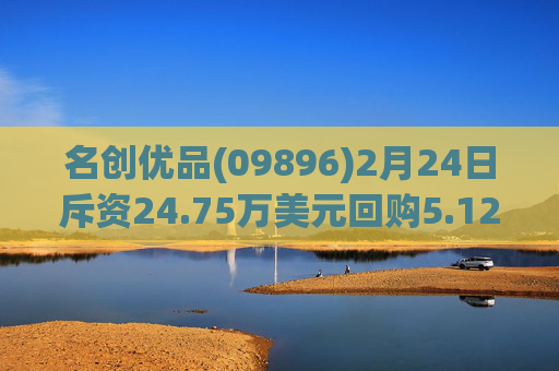 名创优品(09896)2月24日斥资24.75万美元回购5.12万股  第1张