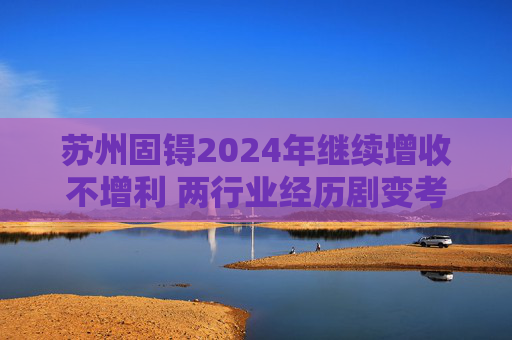 苏州固锝2024年继续增收不增利 两行业经历剧变考验接班人能力  第1张
