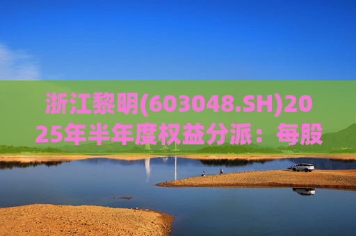 浙江黎明(603048.SH)2025年半年度权益分派：每股拟派利0.07元  第1张
