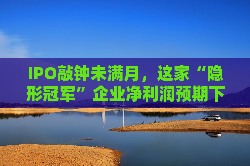 IPO敲钟未满月，这家“隐形冠军”企业净利润预期下滑近两成