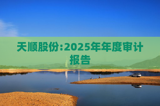 天顺股份:2025年年度审计报告