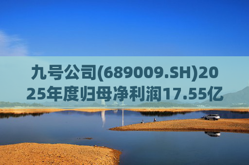 九号公司(689009.SH)2025年度归母净利润17.55亿元，同比增长61.84%