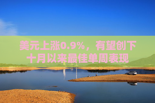 美元上涨0.9%，有望创下十月以来最佳单周表现