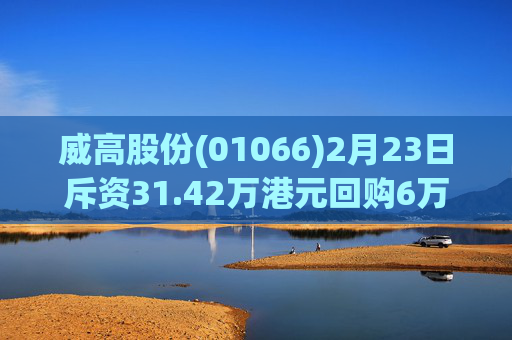 威高股份(01066)2月23日斥资31.42万港元回购6万股