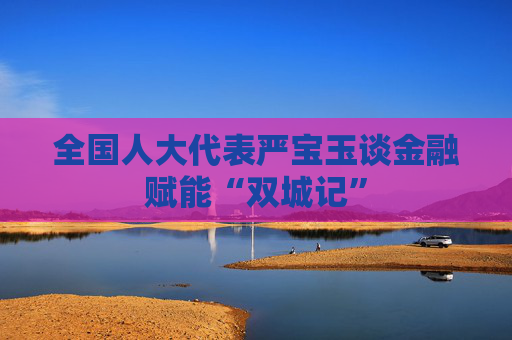 全国人大代表严宝玉谈金融赋能“双城记”  第1张