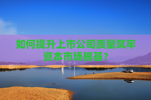 如何提升上市公司质量筑牢资本市场根基？