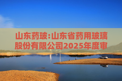 山东药玻:山东省药用玻璃股份有限公司2025年度审计报告