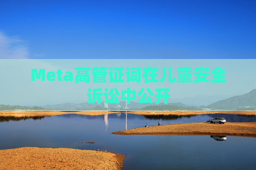 Meta高管证词在儿童安全诉讼中公开  第1张