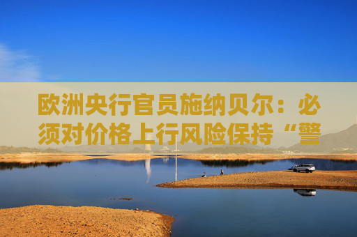 欧洲央行官员施纳贝尔：必须对价格上行风险保持“警惕”  第1张