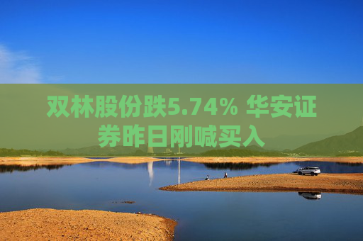 双林股份跌5.74% 华安证券昨日刚喊买入