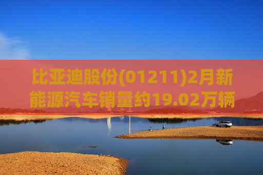 比亚迪股份(01211)2月新能源汽车销量约19.02万辆