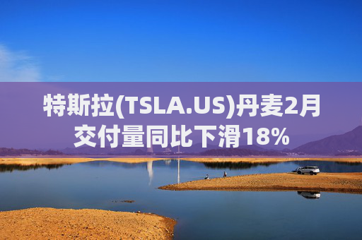特斯拉(TSLA.US)丹麦2月交付量同比下滑18%  第1张