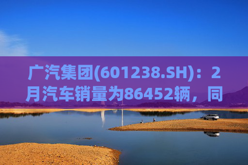 广汽集团(601238.SH)：2月汽车销量为86452辆，同比下降12.43%  第1张