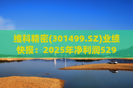 维科精密(301499.SZ)业绩快报：2025年净利润5293.82万元 同比增长16.85%