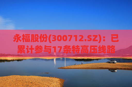 永福股份(300712.SZ)：已累计参与17条特高压线路与3座特高压变电站工程  第1张