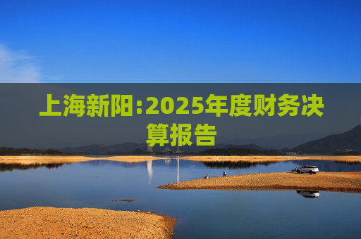 上海新阳:2025年度财务决算报告