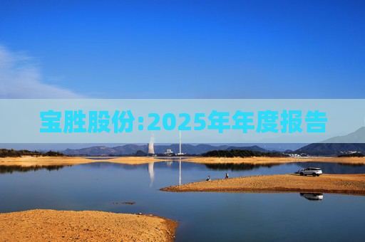 宝胜股份:2025年年度报告  第1张