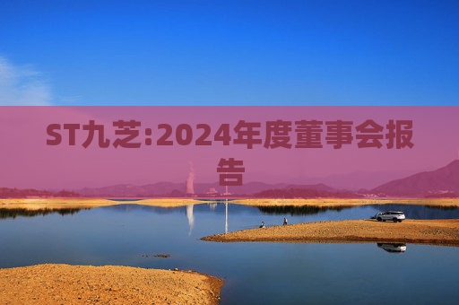 ST九芝:2024年度董事会报告