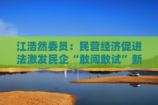 江浩然委员：民营经济促进法激发民企“敢闯敢试”新活力