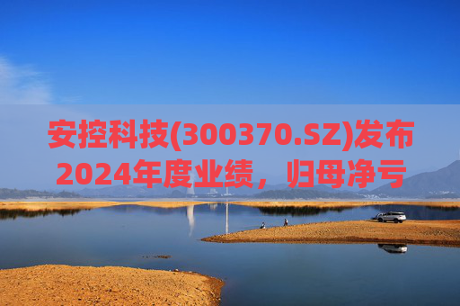 安控科技(300370.SZ)发布2024年度业绩，归母净亏损9418万元