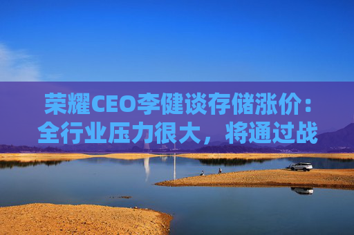 荣耀CEO李健谈存储涨价：全行业压力很大，将通过战略合作和多元布局应对  第1张