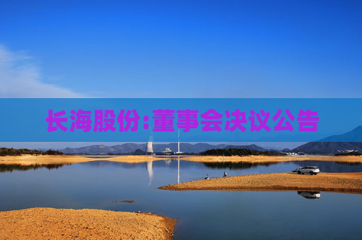 长海股份:董事会决议公告