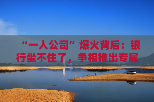 “一人公司”爆火背后：银行坐不住了，争相推出专属金融方案