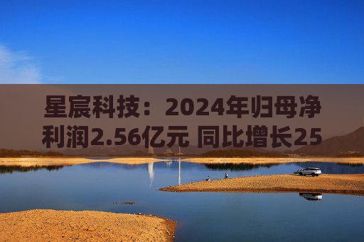 星宸科技：2024年归母净利润2.56亿元 同比增长25.18%