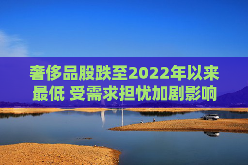 奢侈品股跌至2022年以来最低 受需求担忧加剧影响