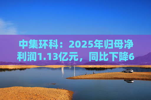 中集环科：2025年归母净利润1.13亿元，同比下降62.91%