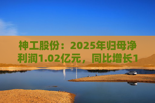 神工股份：2025年归母净利润1.02亿元，同比增长147.96%  第1张