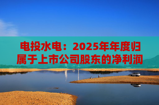电投水电：2025年年度归属于上市公司股东的净利润是53221.29万元  第1张