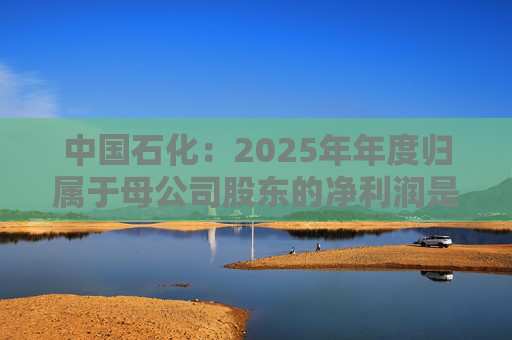 中国石化：2025年年度归属于母公司股东的净利润是31809百万元