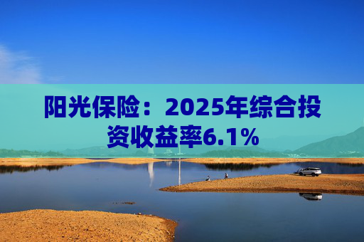 阳光保险：2025年综合投资收益率6.1%