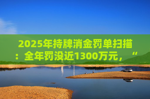 2025年持牌消金罚单扫描：全年罚没近1300万元，“合作管理、贷后风控、征信合规”三大领域成违规重灾区