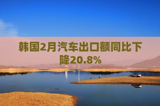 韩国2月汽车出口额同比下降20.8%