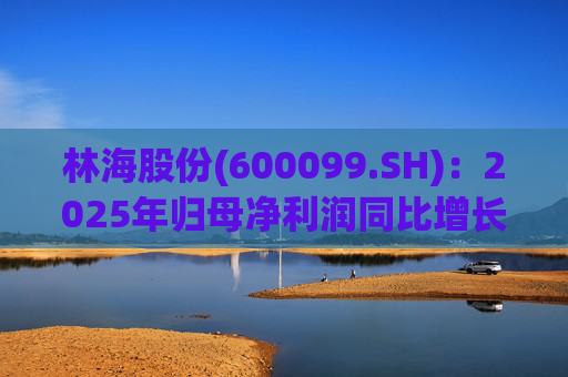 林海股份(600099.SH)：2025年归母净利润同比增长33.24%，每股拟派利0.045元  第1张