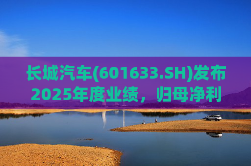 长城汽车(601633.SH)发布2025年度业绩，归母净利润98.65亿元，同比下降22.07%  第1张