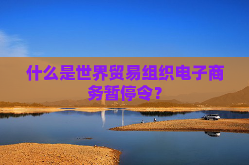 什么是世界贸易组织电子商务暂停令？