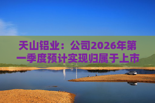 天山铝业：公司2026年第一季度预计实现归属于上市公司股东的净利润220000万元
