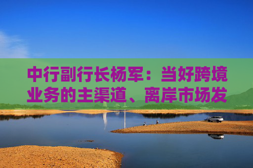 中行副行长杨军：当好跨境业务的主渠道、离岸市场发展的主力军和业务创新的领军者