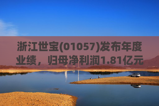 浙江世宝(01057)发布年度业绩，归母净利润1.81亿元 同比增加21.05%