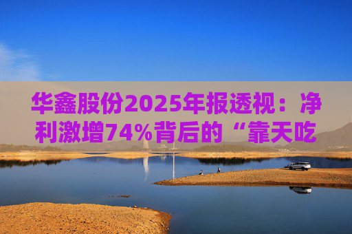 华鑫股份2025年报透视：净利激增74%背后的“靠天吃饭”隐忧与潜在突围方向  第1张