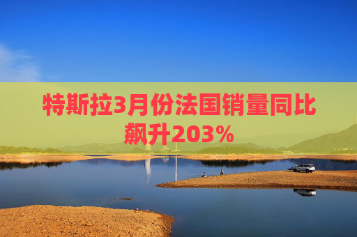特斯拉3月份法国销量同比飙升203%