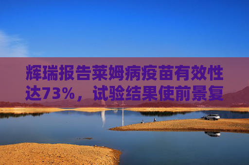 辉瑞报告莱姆病疫苗有效性达73%，试验结果使前景复杂化  第1张