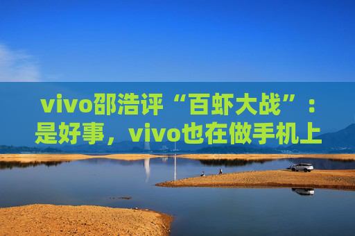 vivo邵浩评“百虾大战”：是好事，vivo也在做手机上的“龙虾”  第1张