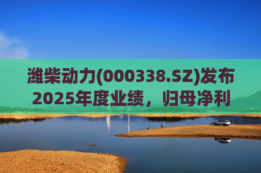 潍柴动力(000338.SZ)发布2025年度业绩，归母净利润109.31亿元，下降4.15%  第1张