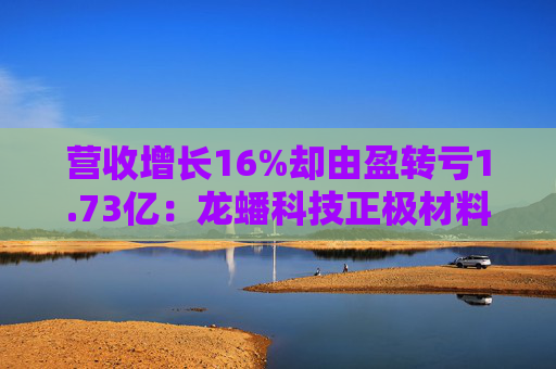营收增长16%却由盈转亏1.73亿：龙蟠科技正极材料“回血”难掩整体颓势